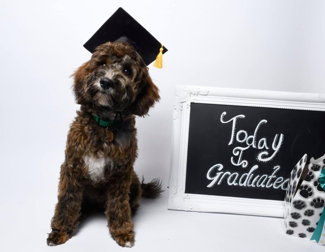 A calm, confident graduate