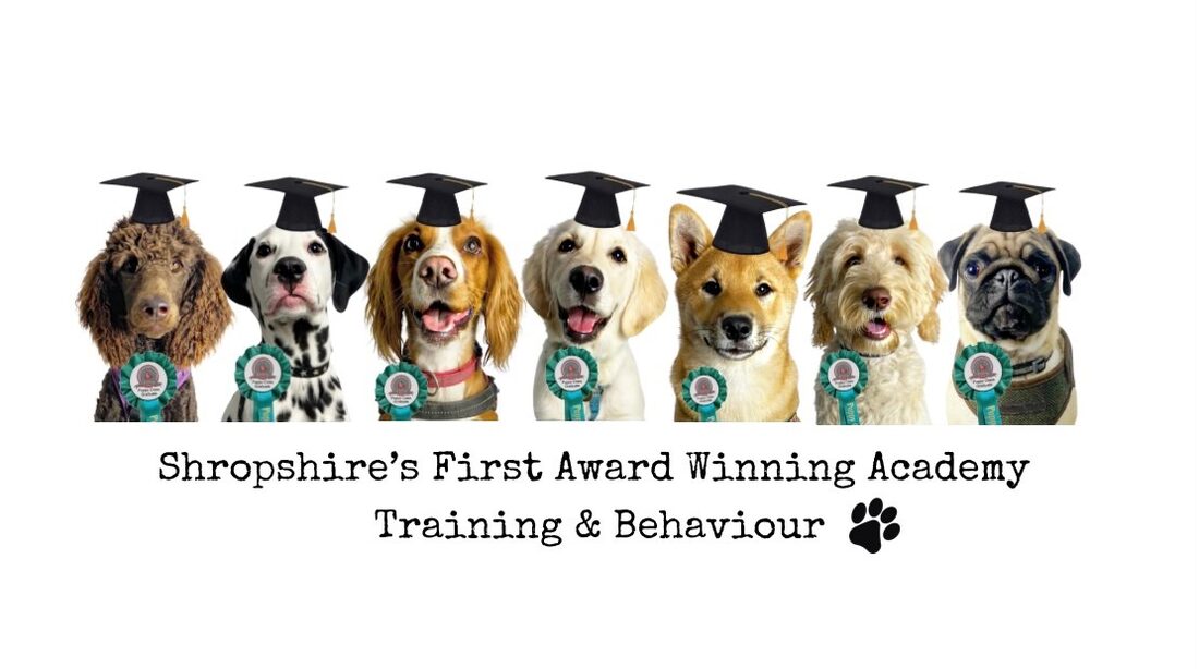 A line-up of our latest class graduates